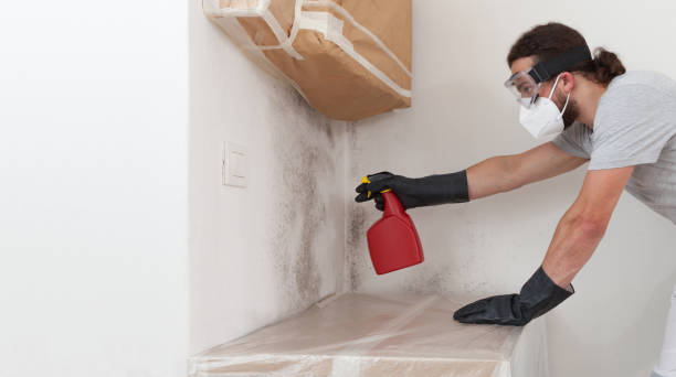 Professional Mold Inspection And Testing technician working in Broadway, NC