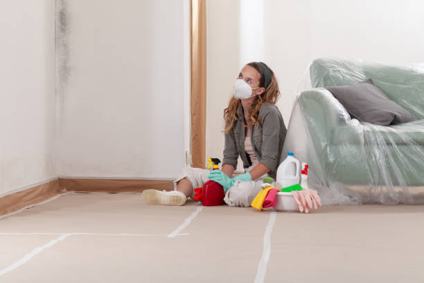 Reliable Mold Inspection And Testing contractor in Broadway, NC by Mold Remediation HQ